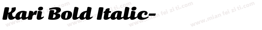 Kari Bold Italic字体转换